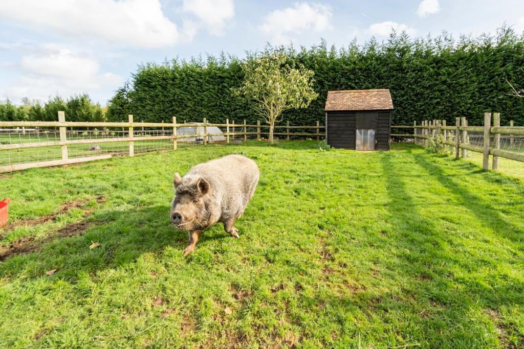 Willow Cottage In Idyllic Location Harrietsham ภายนอก รูปภาพ